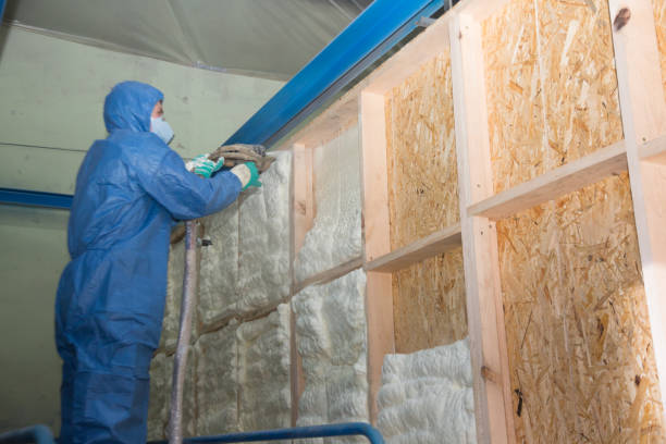 Best Insulation Inspection Services  in Daniel, UT