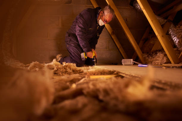 Best Local Insulation Services  in Daniel, UT
